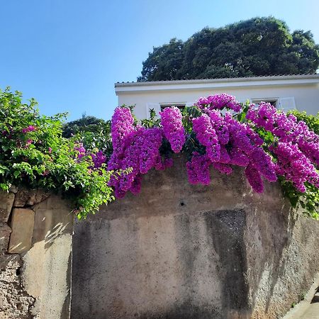 Apartman Pia Mali Lošinj Kültér fotó